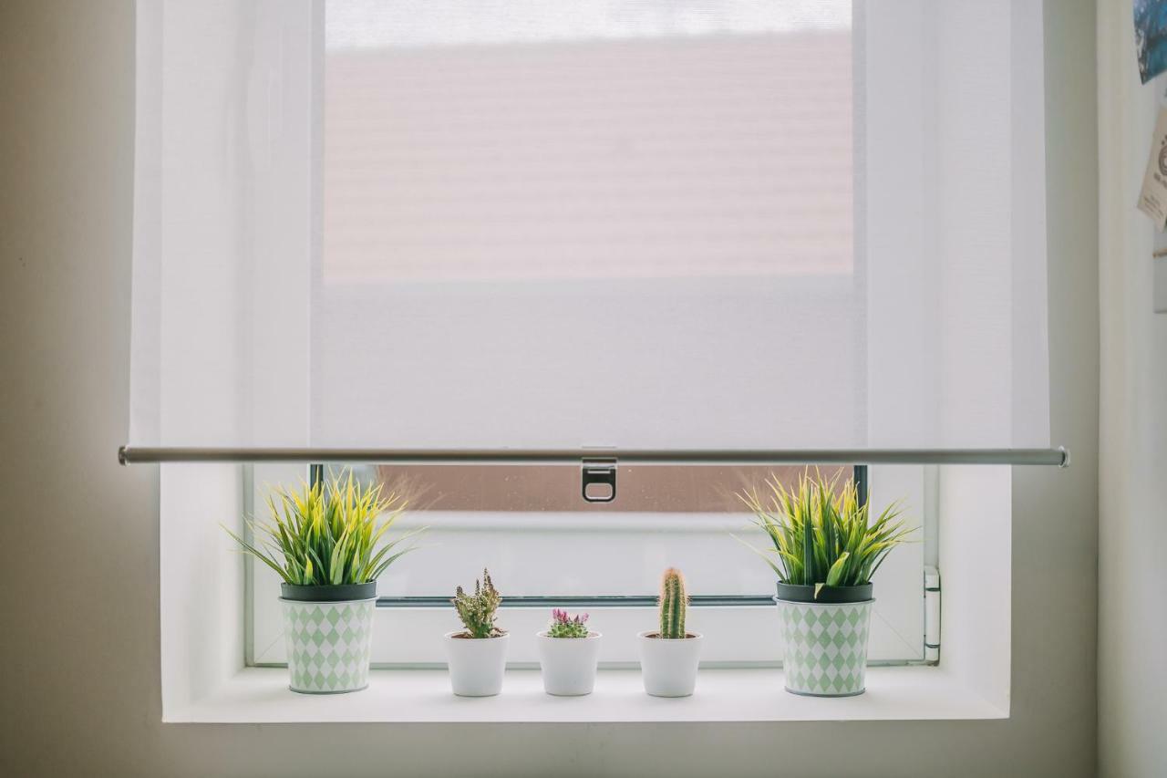 פורטו Green House / Casa Verde מראה חיצוני תמונה